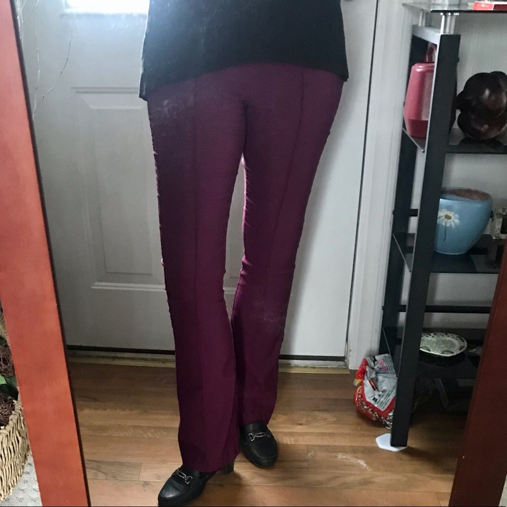 Wine colored Attention Dress Pants